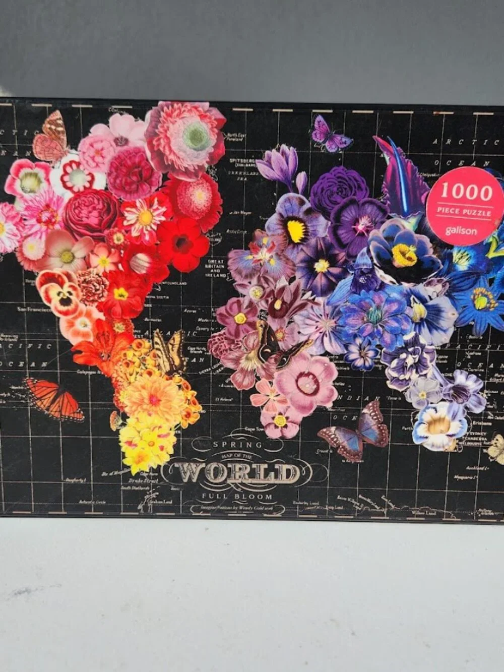 Ravensburger galison full